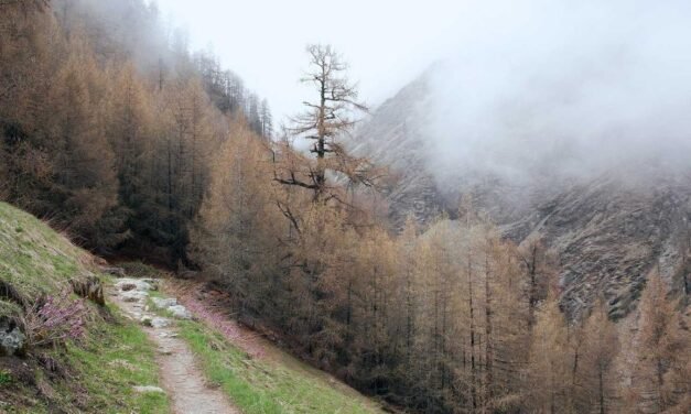 Est aliquam veniam expedita