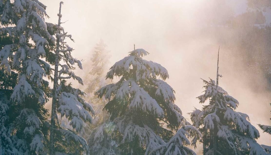 Cupiditate ullam fuga repellendus est non tempore