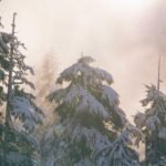 Cupiditate ullam fuga repellendus est non tempore