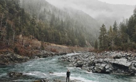 Voluptatem facere quis et