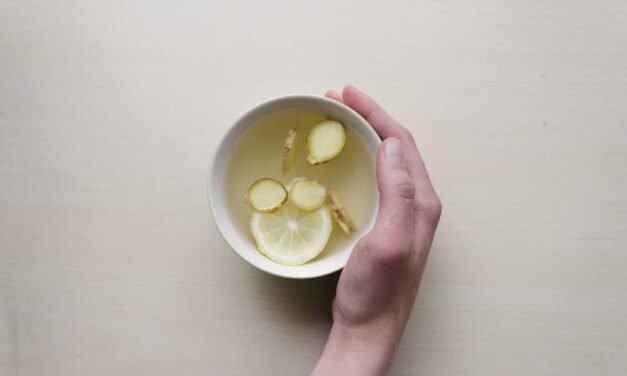 Molestiae amet iusto quae sed nemo